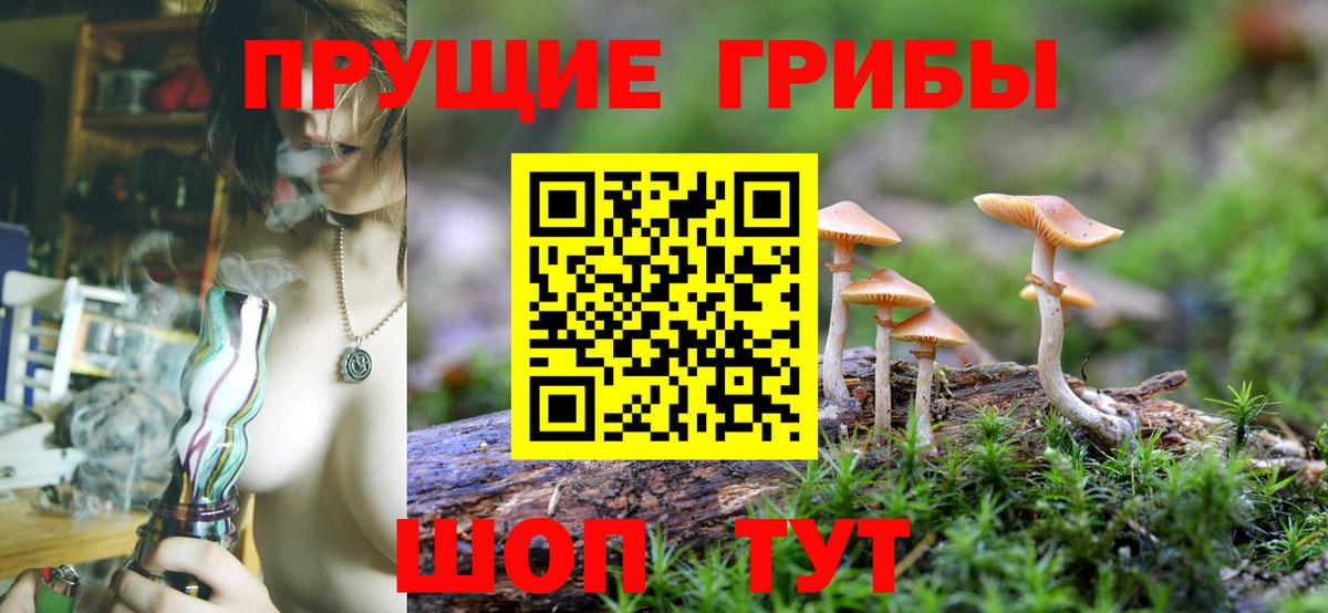 Галлюциногенные грибы Cubensis Пушкино