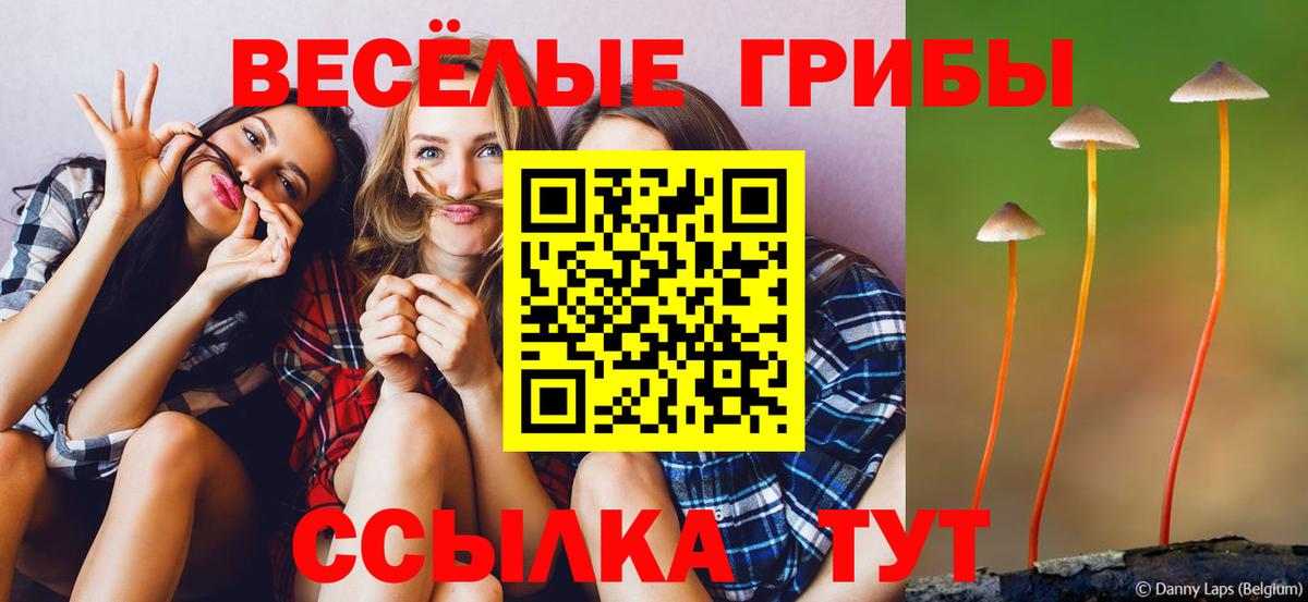 купить закладку  Галлюциногенные грибы GOLDEN TEACHER  Галлюциногенные грибы Psilocybine cubensis  Вход с VPN  Пушкино 